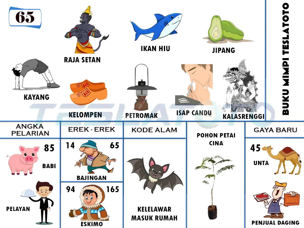 buku mimpi erek erek togel 65